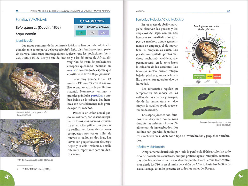 PECES, ANFIBIOS Y REPTILES DEL PARQUE NACIONAL DE ORDESA Y MONTE PERDIDO 3