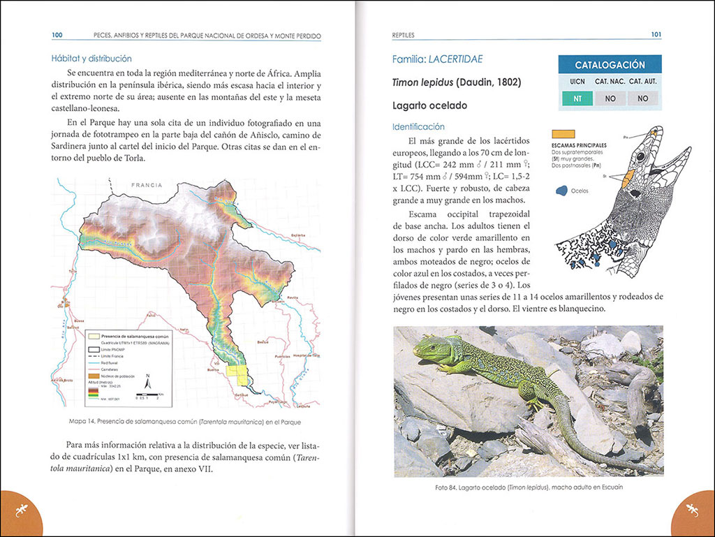PECES, ANFIBIOS Y REPTILES DEL PARQUE NACIONAL DE ORDESA Y MONTE PERDIDO 4