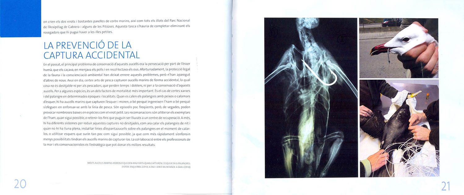 ENTRE ONES I PENYES. ELS AUCELLS MARINS PROTEGITS DE LES BALEARS/ ENTRE OLAS Y CANTILES. LAS AVES MARINAS PROTEGIDAS DE BALEARES 4