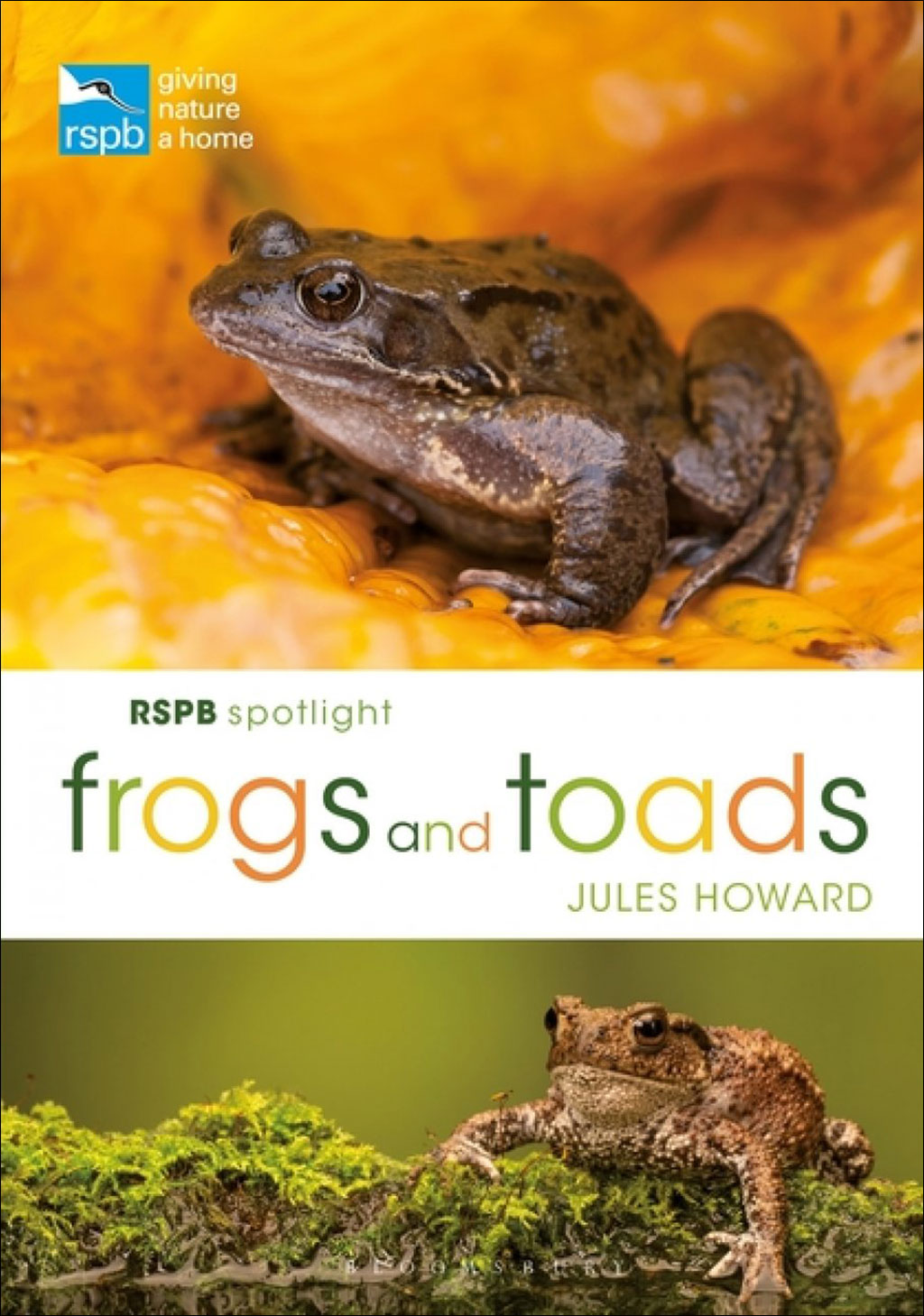 RSPB SPOTLIGHT FROGS AND TOADS 1