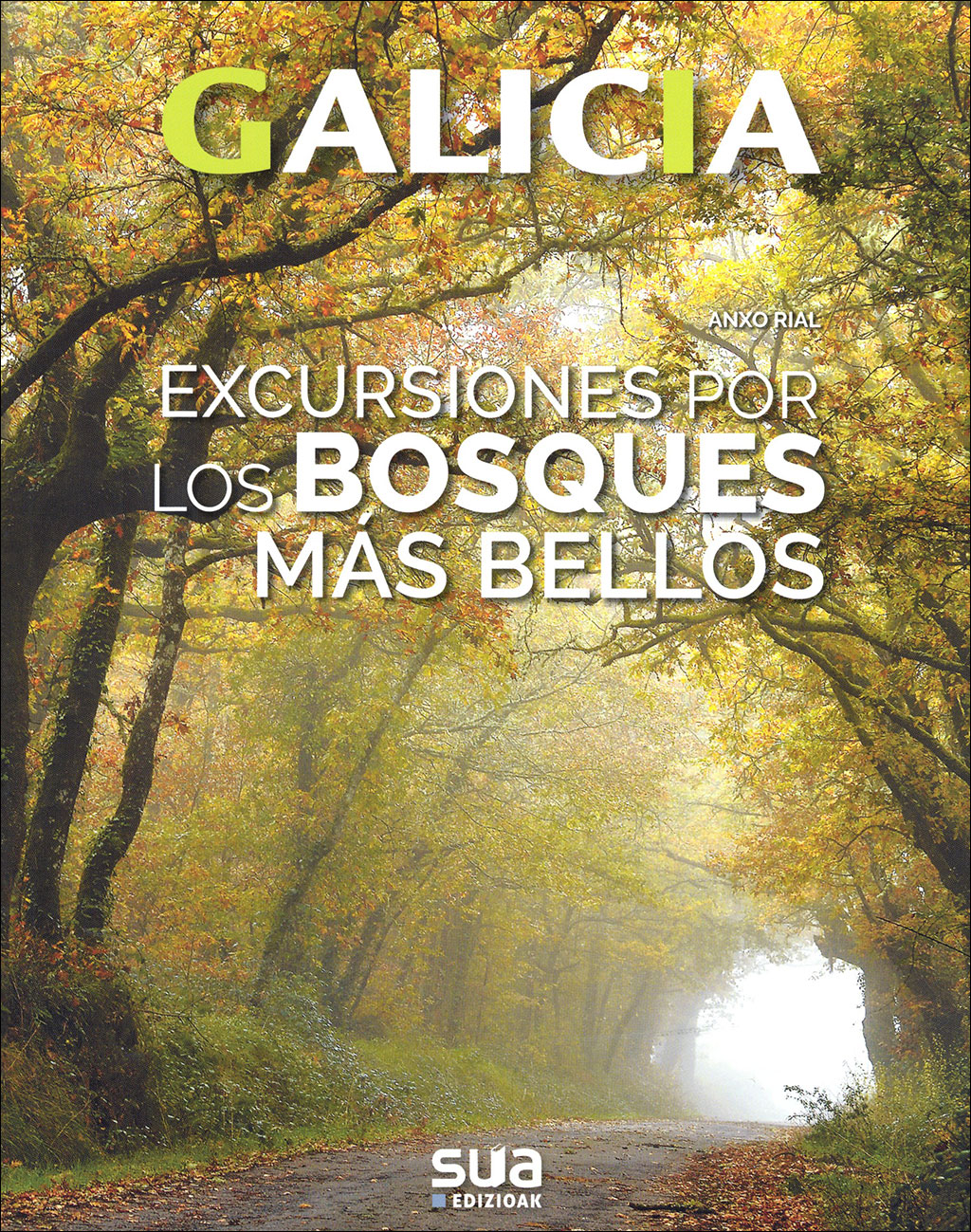 GALICIA. EXCURSIONES POR LOS BOSQUES MÁS BELLOS 1
