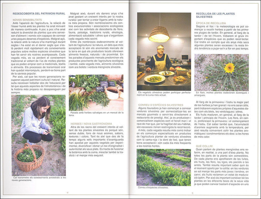 HERBARI MENGÍVOL. GUIA PER A L'ÚS GASTRONÒMIC DE LA FLORA SILVESTRE 2