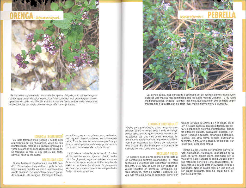 HERBARI MENGÍVOL. GUIA PER A L'ÚS GASTRONÒMIC DE LA FLORA SILVESTRE 3