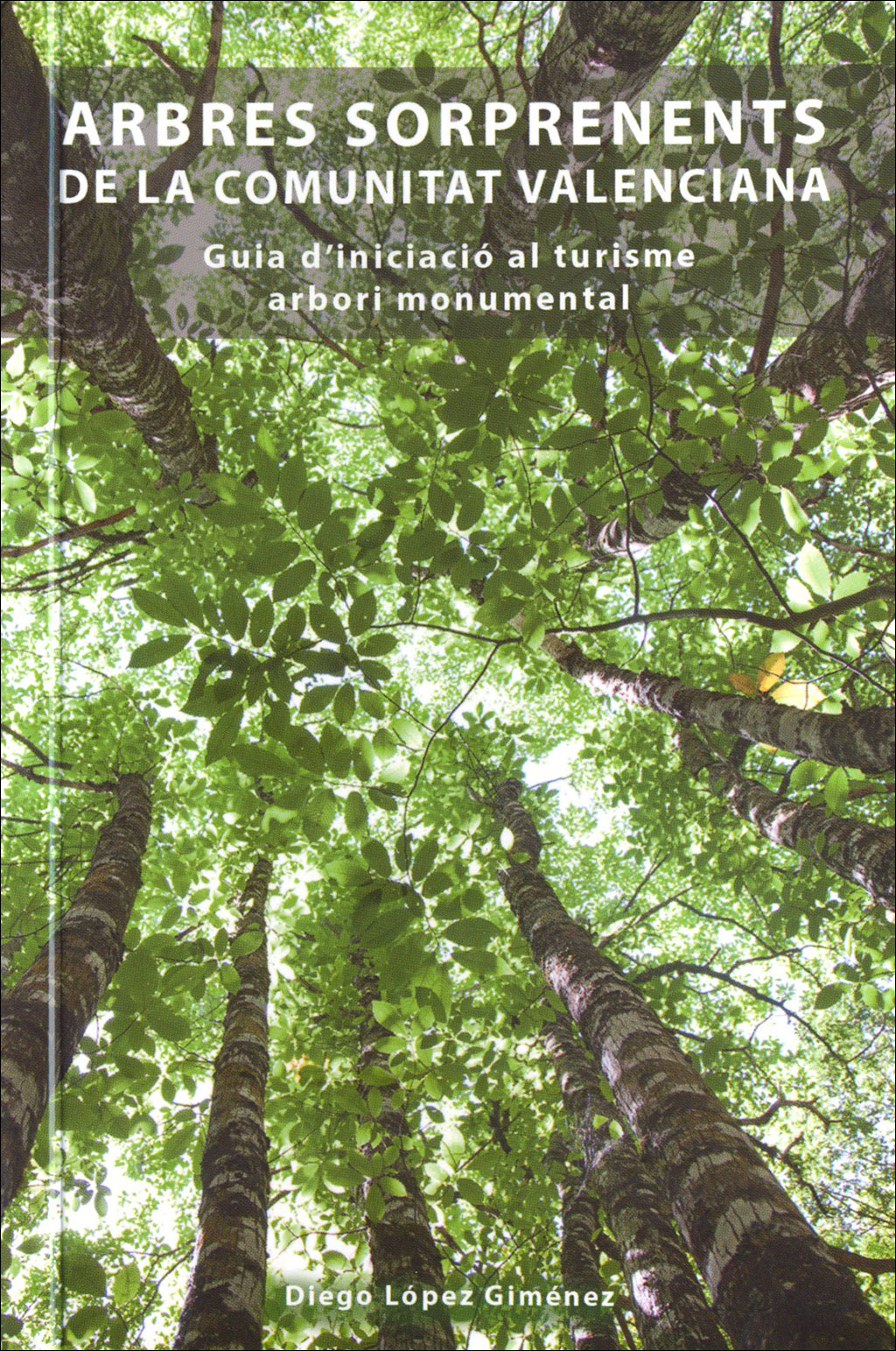 ARBRES SORPRENENTS DE LA COMUNITAT VALENCIANA. GUIA D'IDENTIFICACIÓ AL TURISME ARBORI MONUMENTAL 1