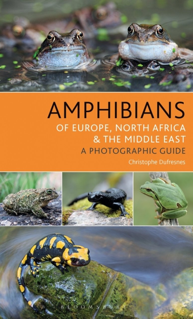 AMPHIBIANS OF EUROPE, NORTH AFRICA & THE MIDDLE EAST. A PHOTOGRAPHIC GUIDE