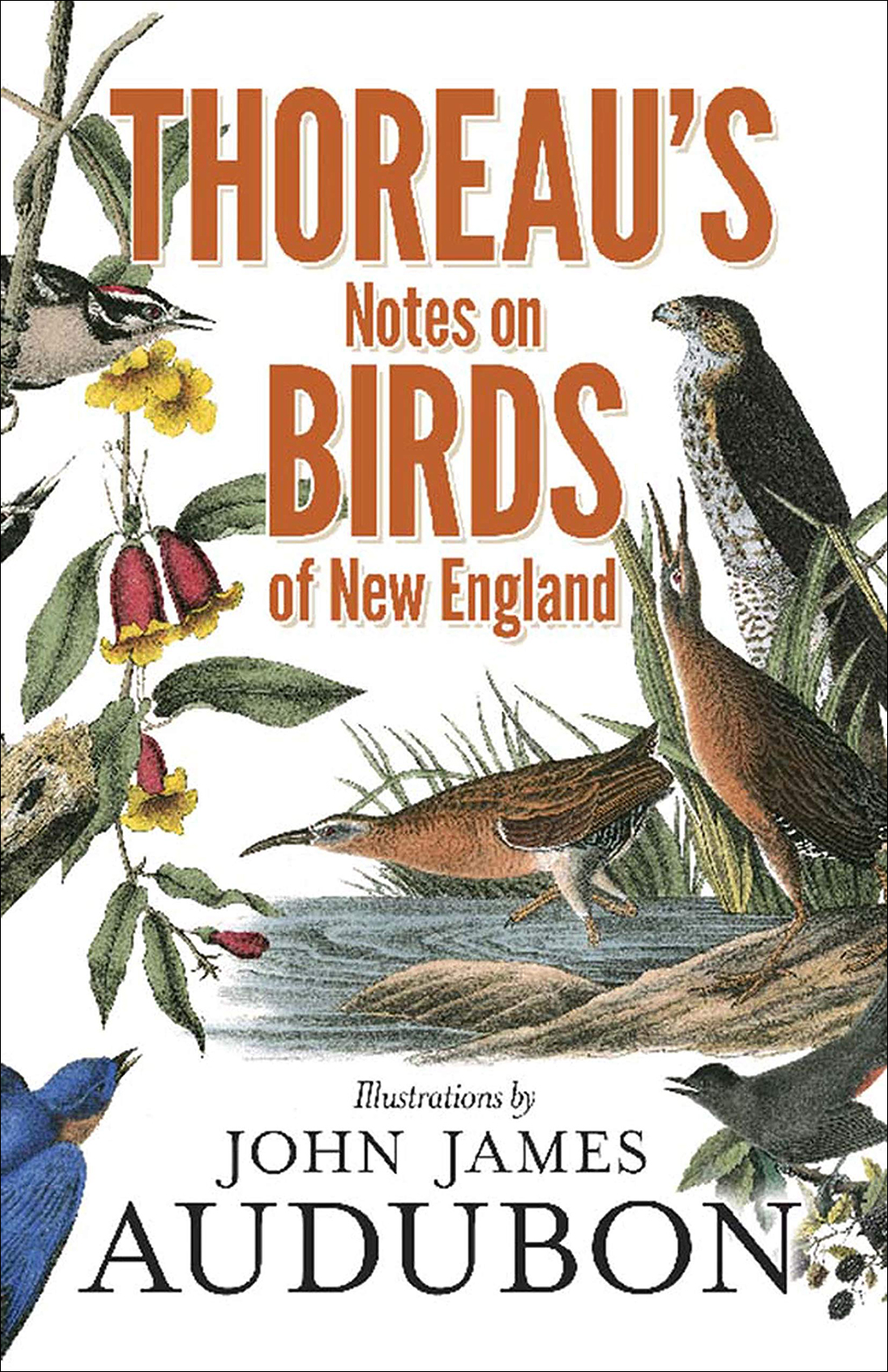 THOREAU'S NOTES ON BIRDS OF NEW ENGLAND