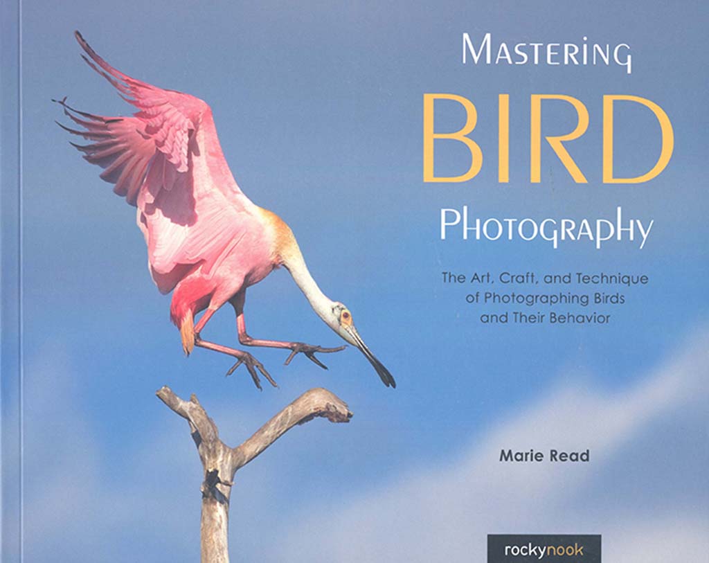 MASTERING BIRD PHOTOGRAPHY. THE ART, CRAFT, AND TECHNIQUE OF PHOTOGRAPHING BIRDS AND THEIR BEHAVIOR