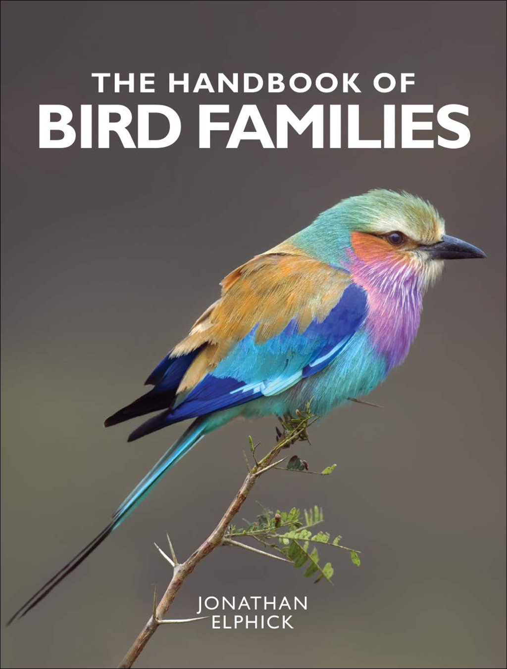 THE HANDBOOK OF BIRD FAMILIES