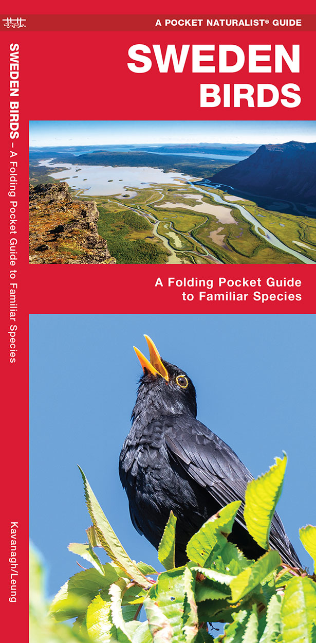 SWEDEN BIRDS. A FOLDING POCKET GUIDE TO FAMILIAR SPECIES
