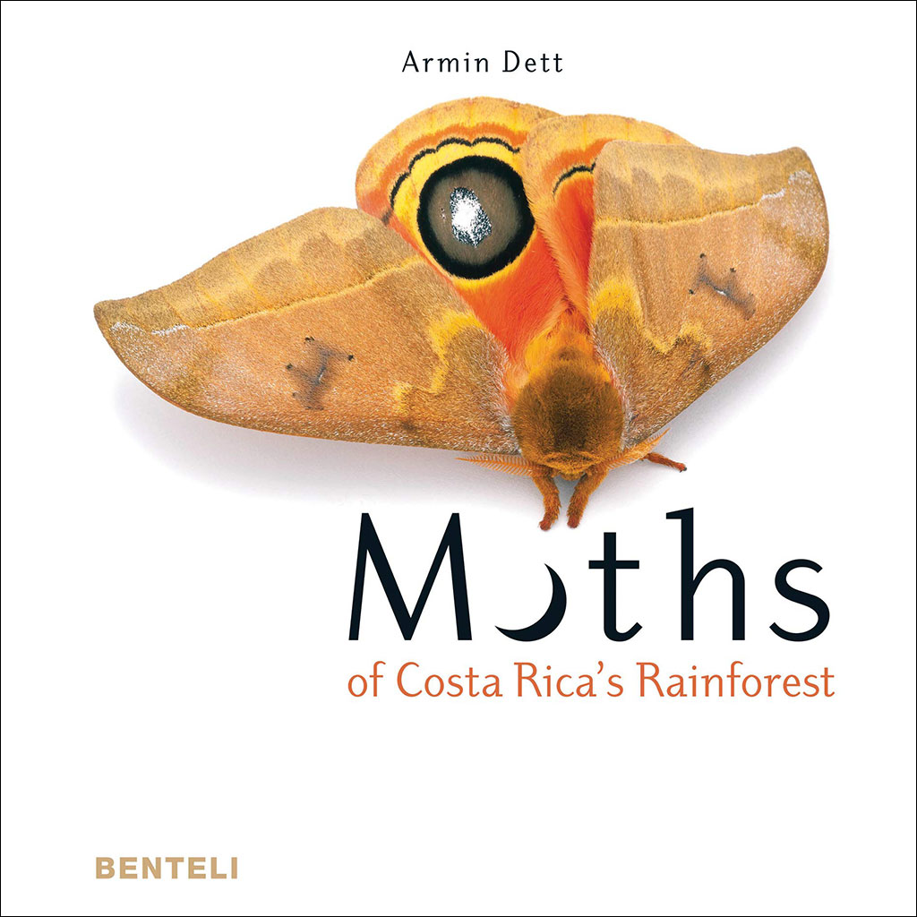 MOTHS OF COSTA RICA'S RAINFOREST