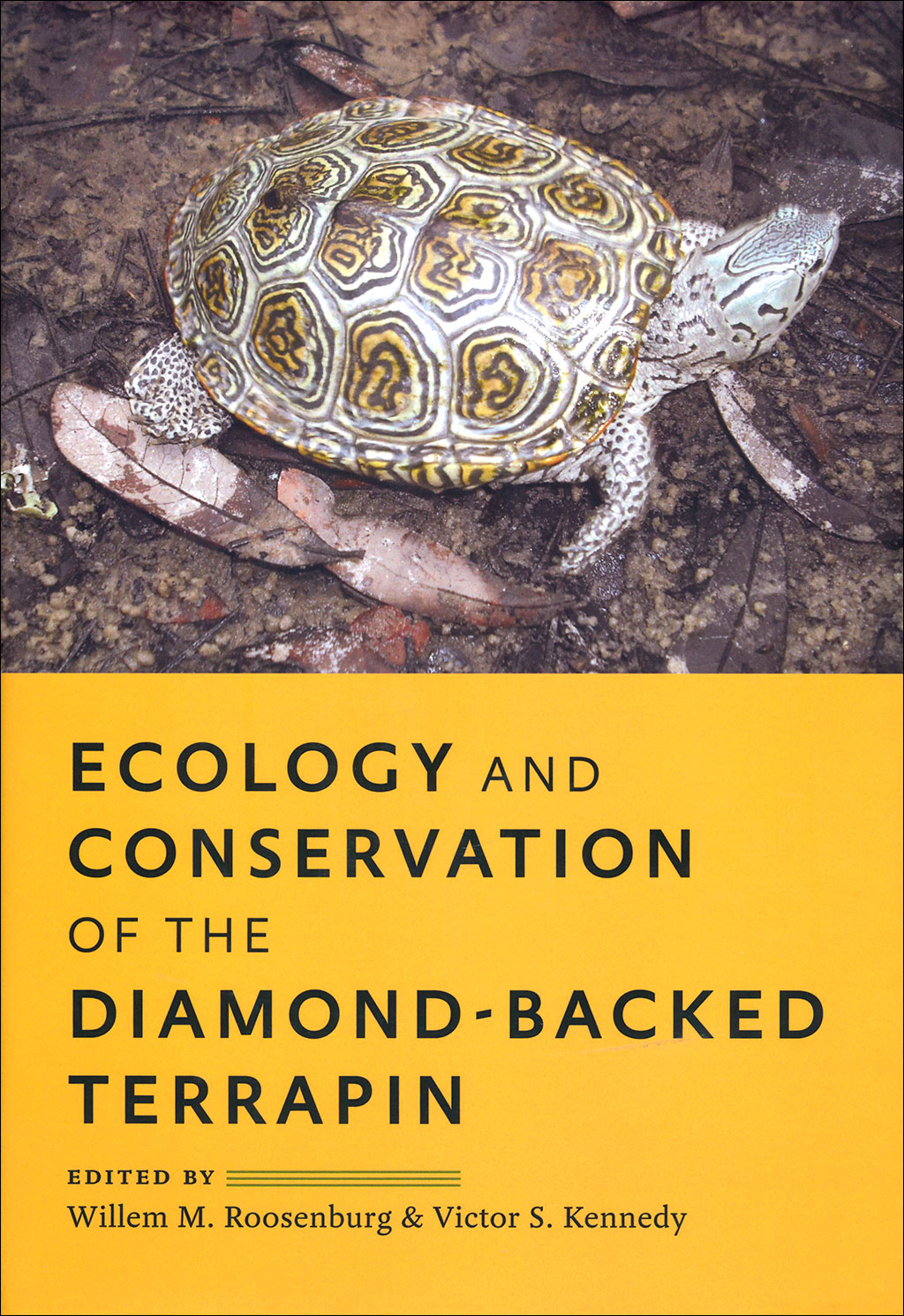 ECOLOGY AND CONSERVATION OF THE DIAMOND-BACKED TERRAPIN 1