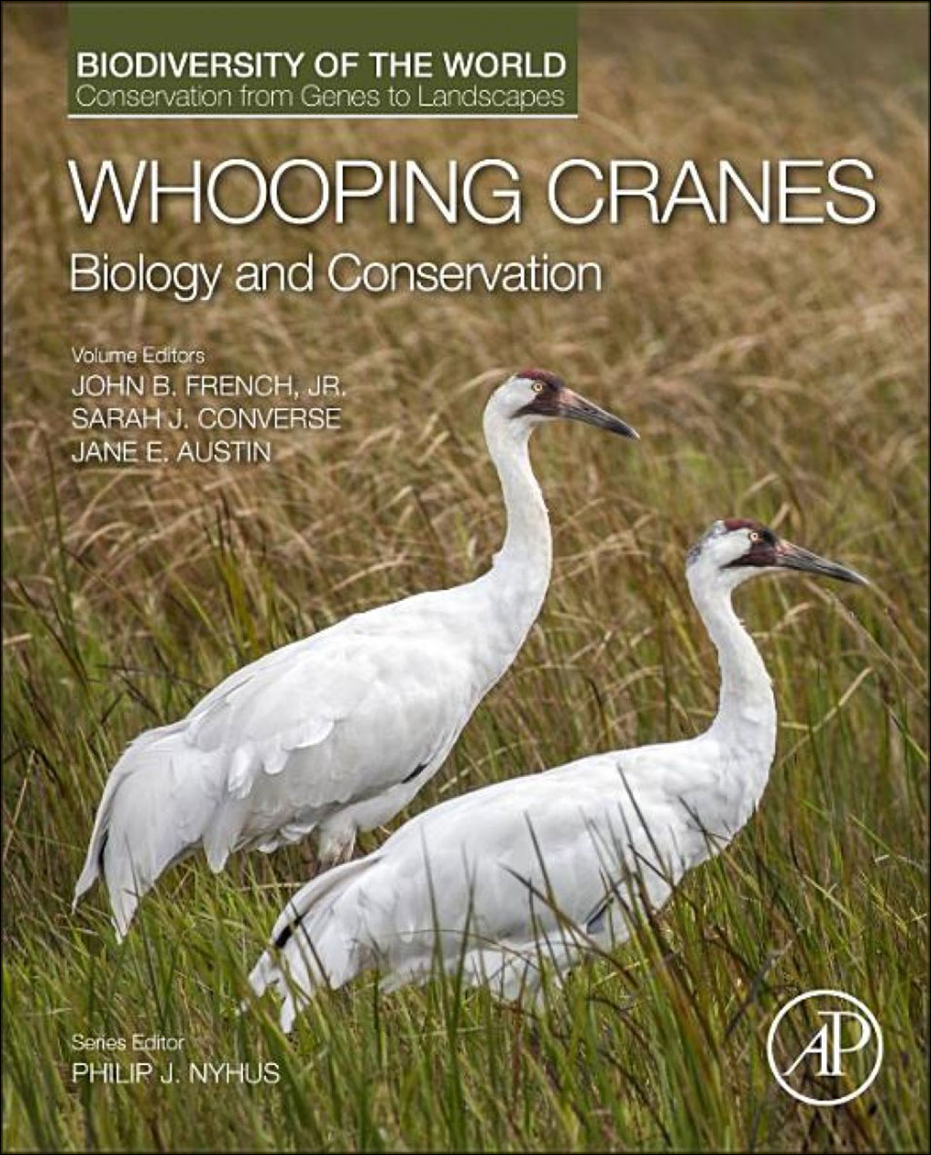 WHOOPING CRANES 1