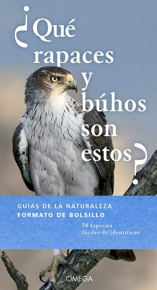 ¿QUÉ RAPACES Y BÚHOS SON ESTOS? 1