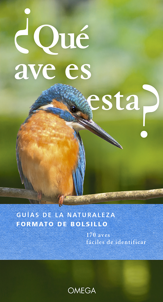 ¿QUÉ AVE ES ESTA? 1
