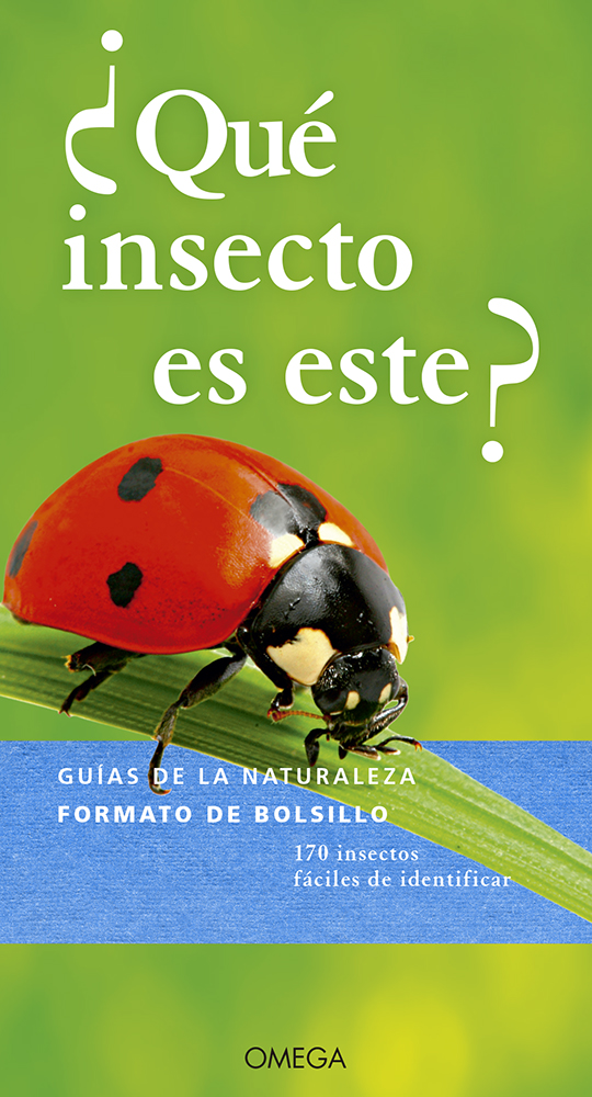¿QUÉ INSECTO ES ESTE? 1