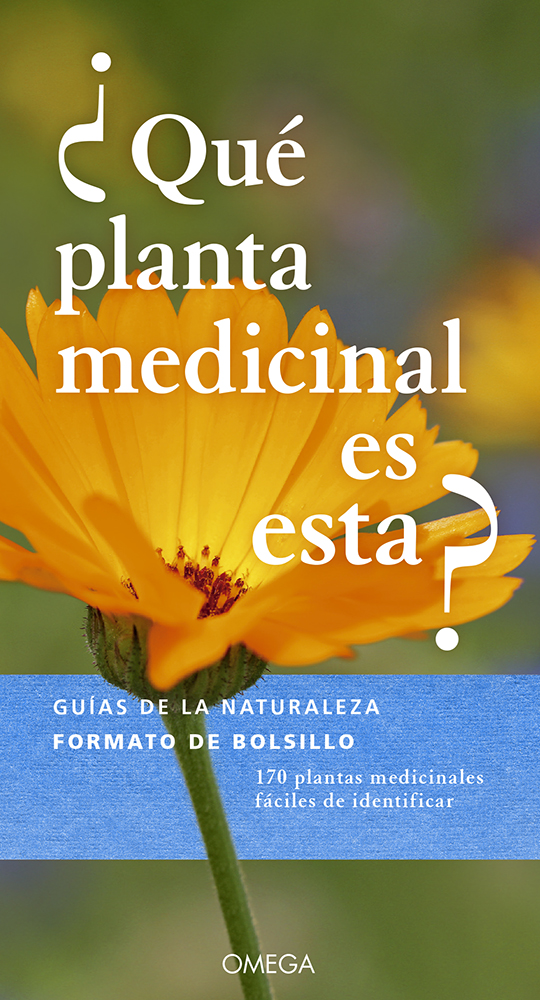 ¿QUÉ PLANTA MEDICINAL ES ESTA?