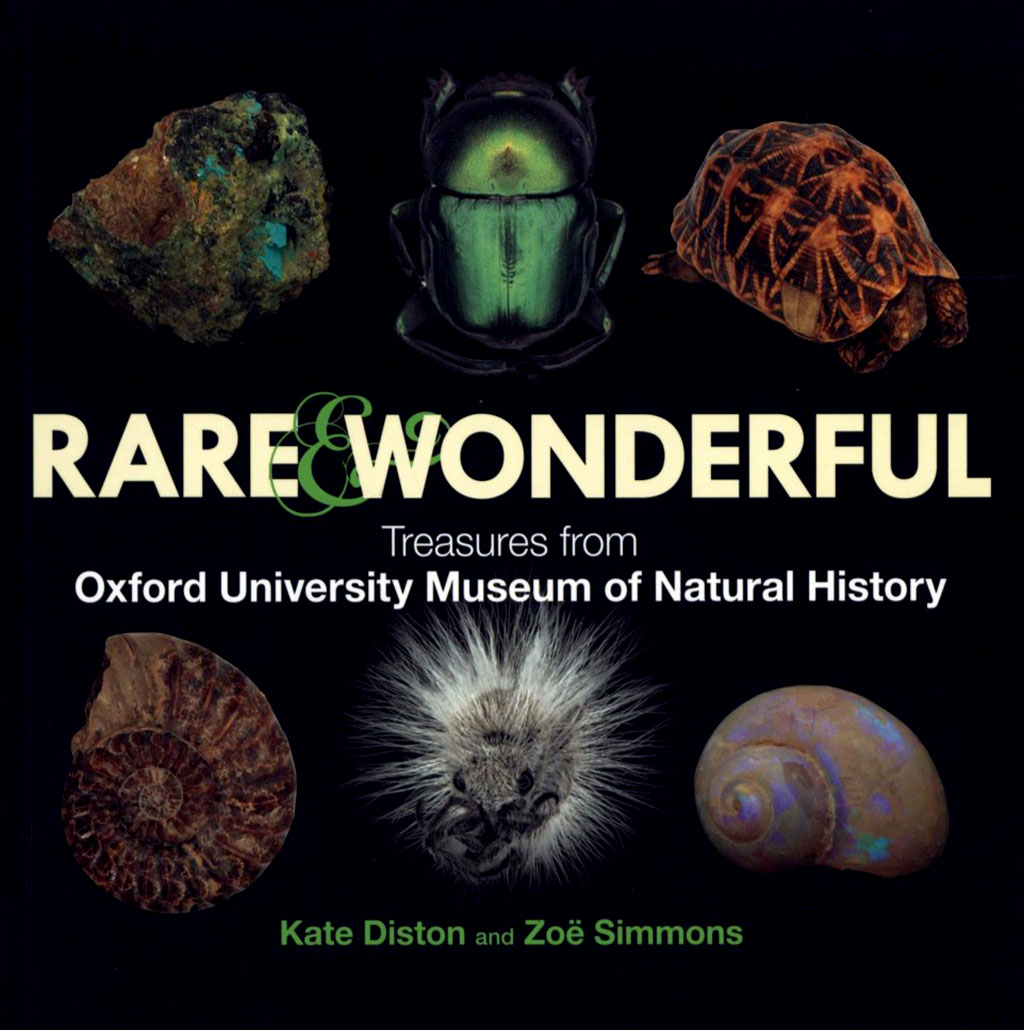 RARE & WONDERFUL. TREASURES FROM OXFORD UNIVERSITY MUSEUM OF NATURAL HISTORY