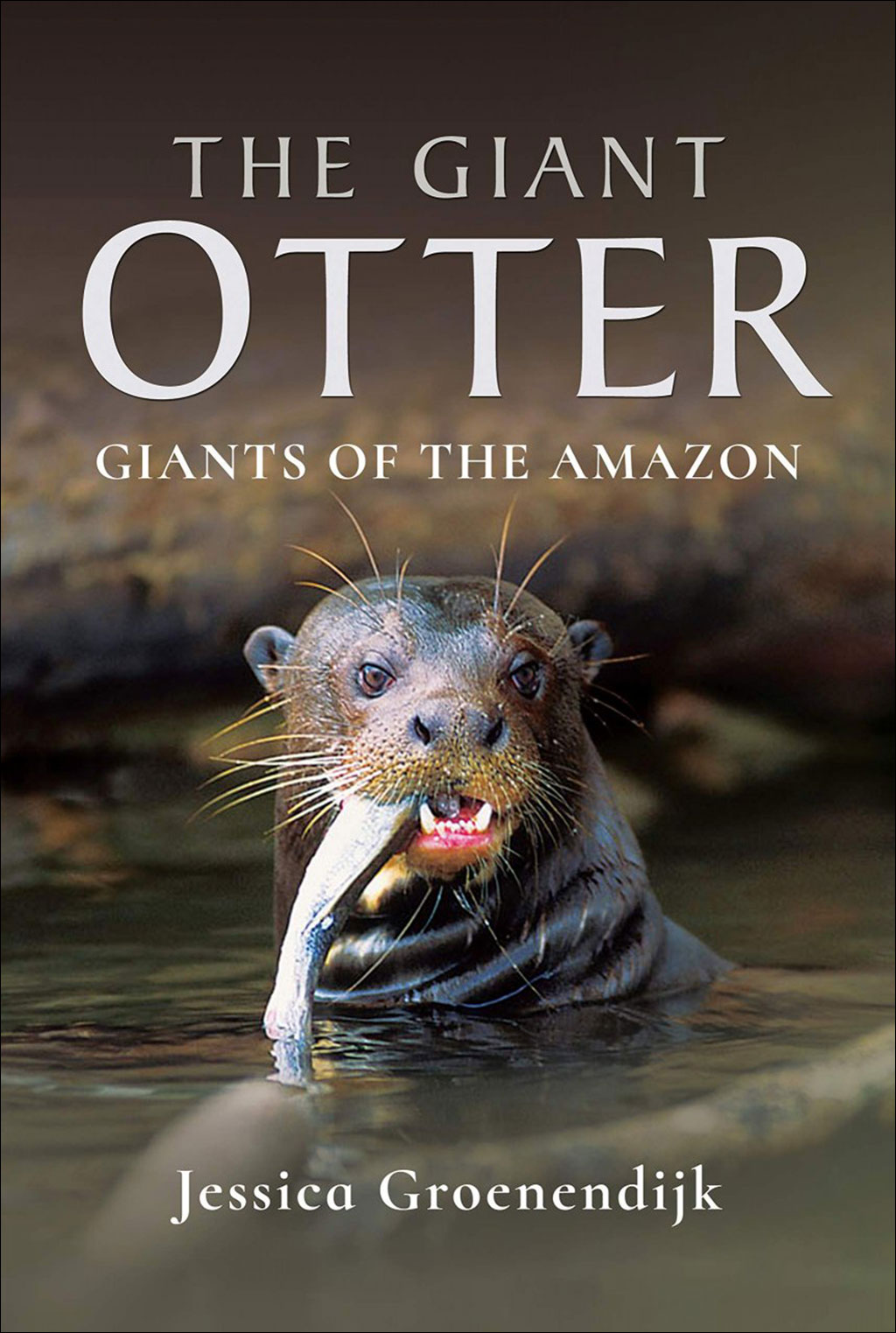 THE GIANT OTTER. GIANTS OF THE AMAZON 1