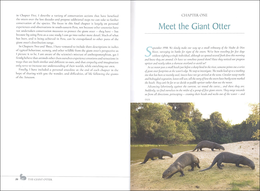 THE GIANT OTTER. GIANTS OF THE AMAZON 2