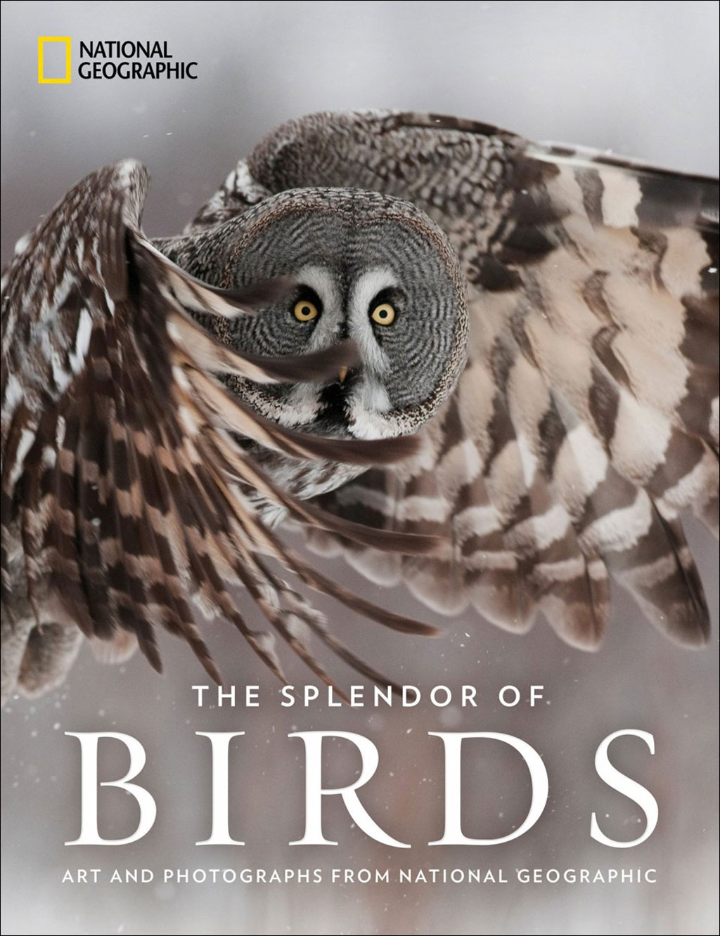 THE SPLENDOR OF BIRDS. ART AND PHOTOGRAPHS FROM NATIONAL GEOGRAPHIC 1