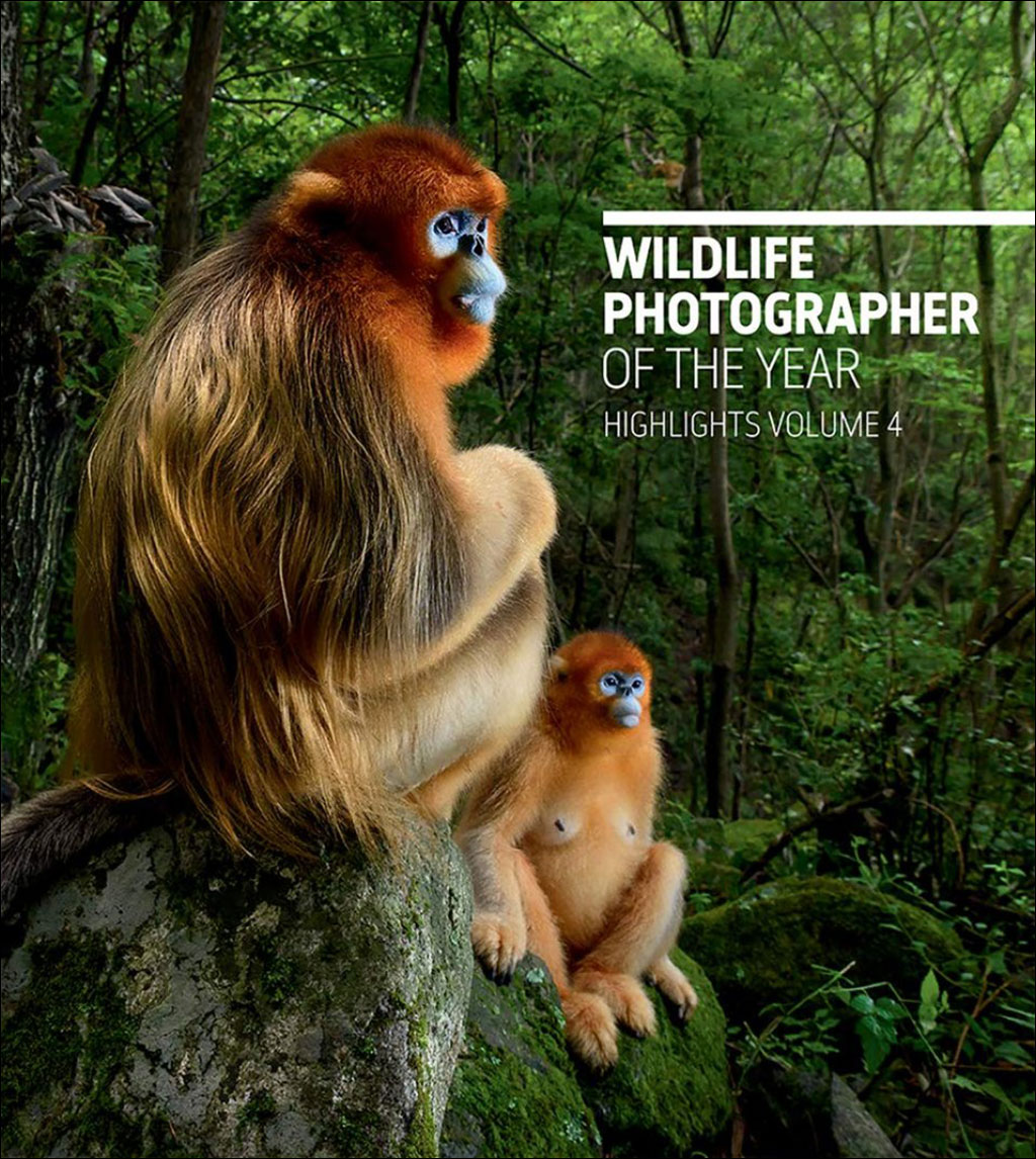 WILDLIFE PHOTOGRAPHER OF THE YEAR HIGHLIGHTS VOL. 4