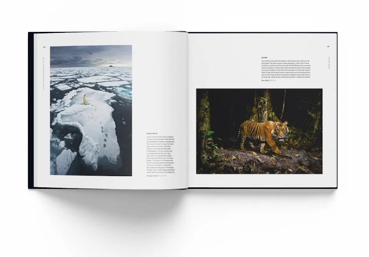 HOW WILDLIFE PHOTOGRAPHY BECAME ART. 55 YEARS OF WILDLIFE PHOTOGRAPHER OF THE YEAR 2