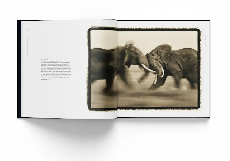 HOW WILDLIFE PHOTOGRAPHY BECAME ART. 55 YEARS OF WILDLIFE PHOTOGRAPHER OF THE YEAR 3