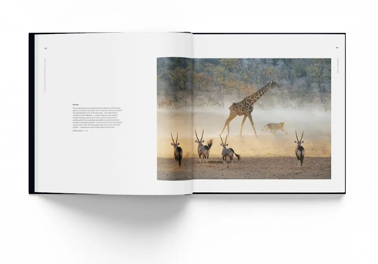 HOW WILDLIFE PHOTOGRAPHY BECAME ART. 55 YEARS OF WILDLIFE PHOTOGRAPHER OF THE YEAR 4