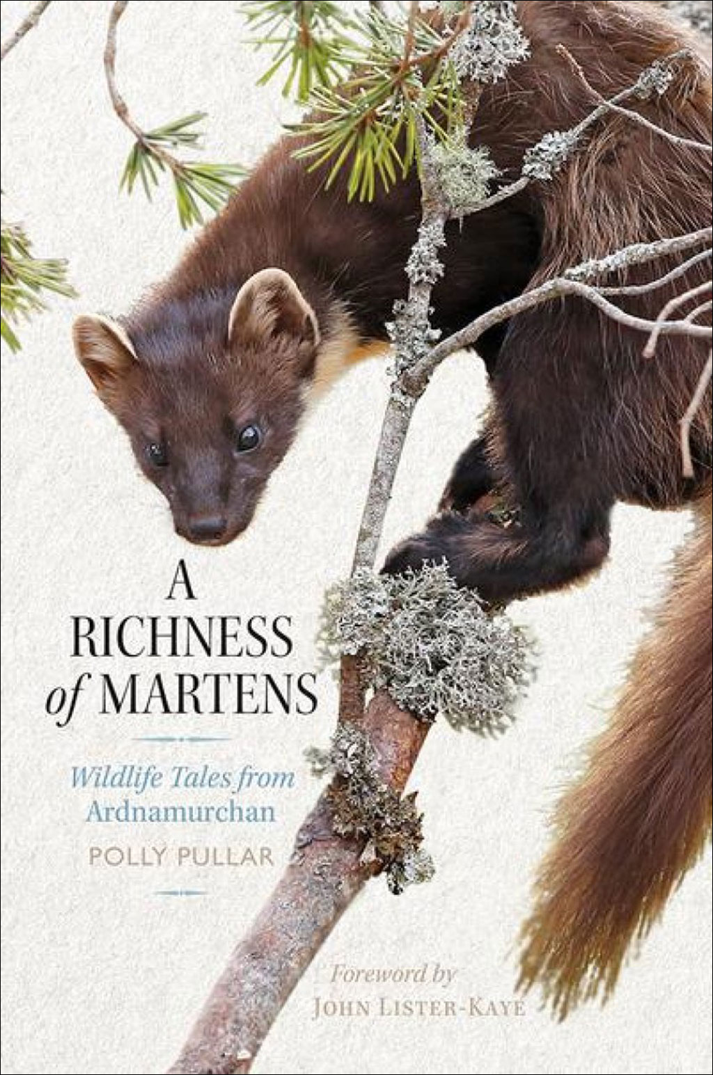 A RICHNESS OF MARTENS