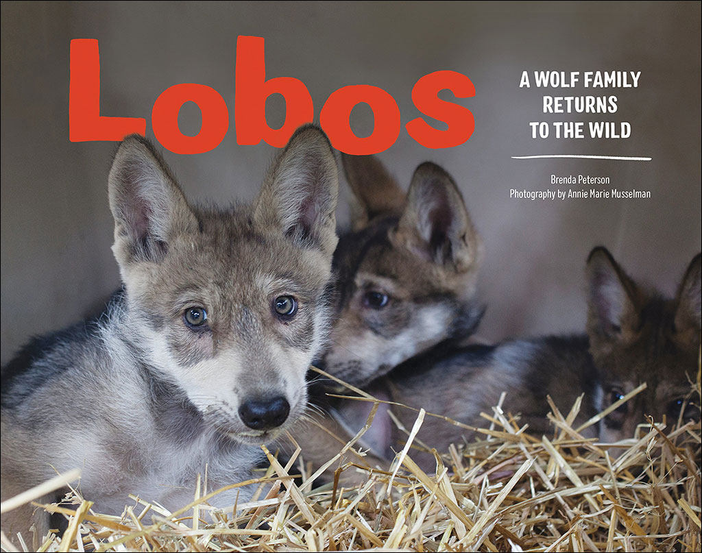LOBOS. A WOLF FAMILY RETURNS TO THE WILD 1