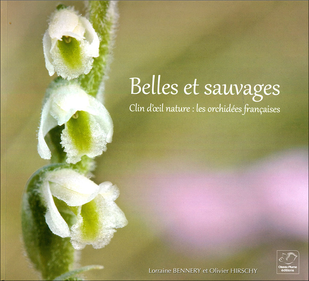 BELLES ET SAUVAGES. CLIN D'OEIL NATURE: LES ORCHIDÉES FRANÇAISES 1