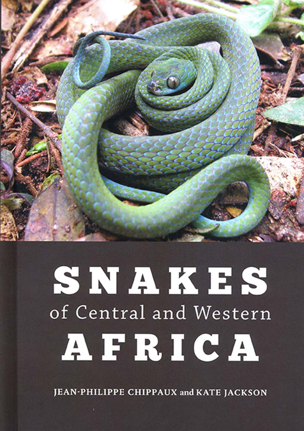 SNAKES OF THE CENTRAL AND WESTERN AFRICA 1