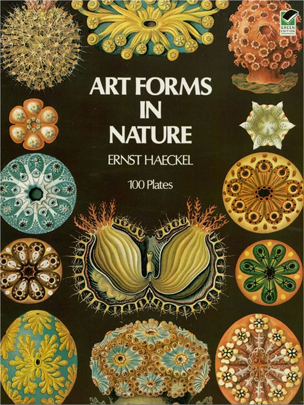 ART FORMS IN NATURE