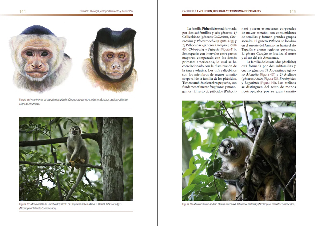 PRIMATES. BIOLOGÍA, COMPORTAMIENTO Y EVOLUCIÓN 2