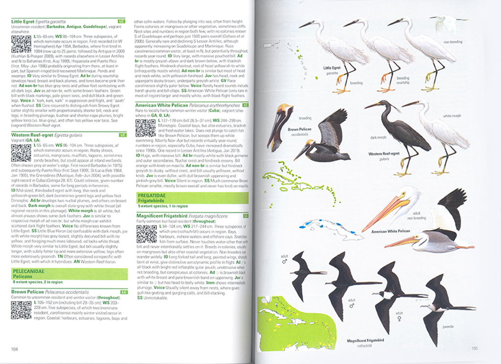 BIRDS OF THE WEST INDIES 3
