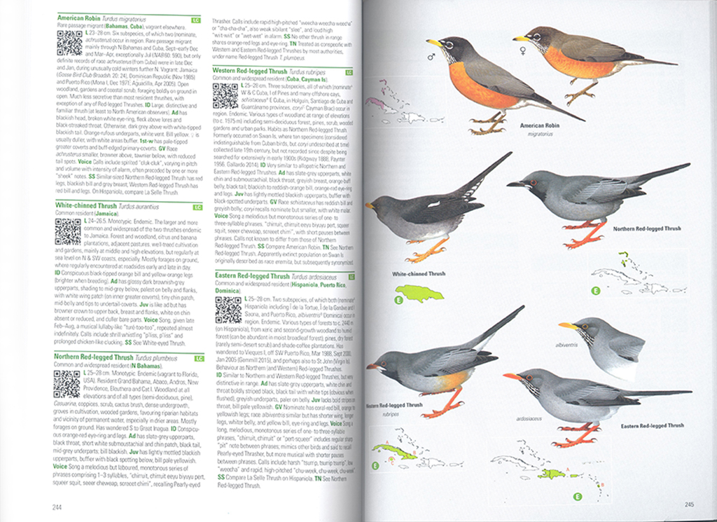 BIRDS OF THE WEST INDIES 4