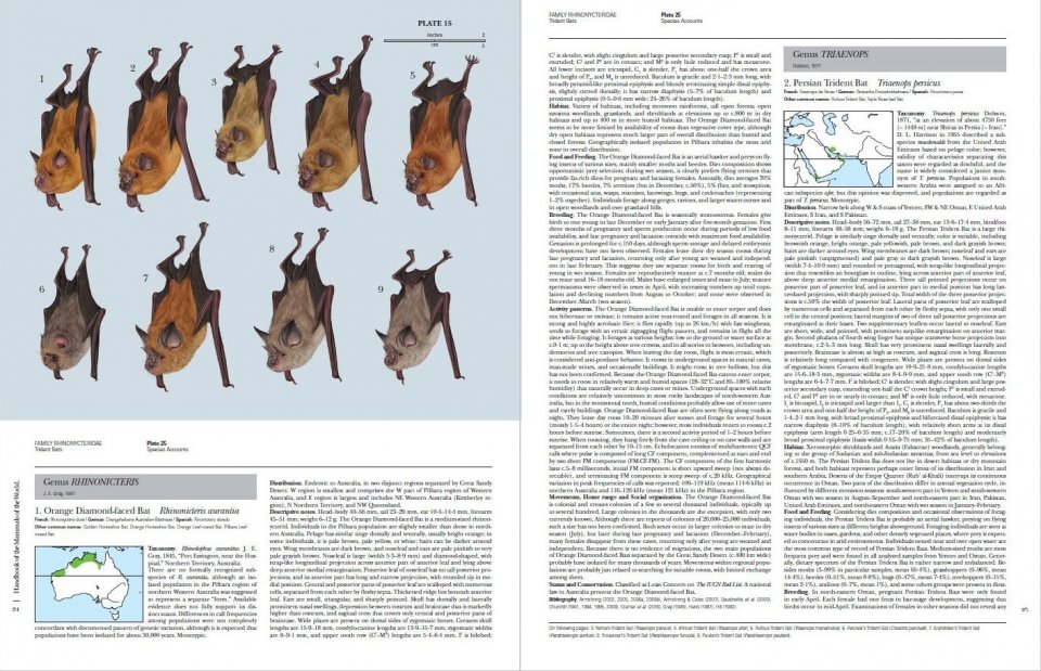 HANDBOOK OF THE MAMMALS OF THE WORLD. VOL. 9 BATS 4
