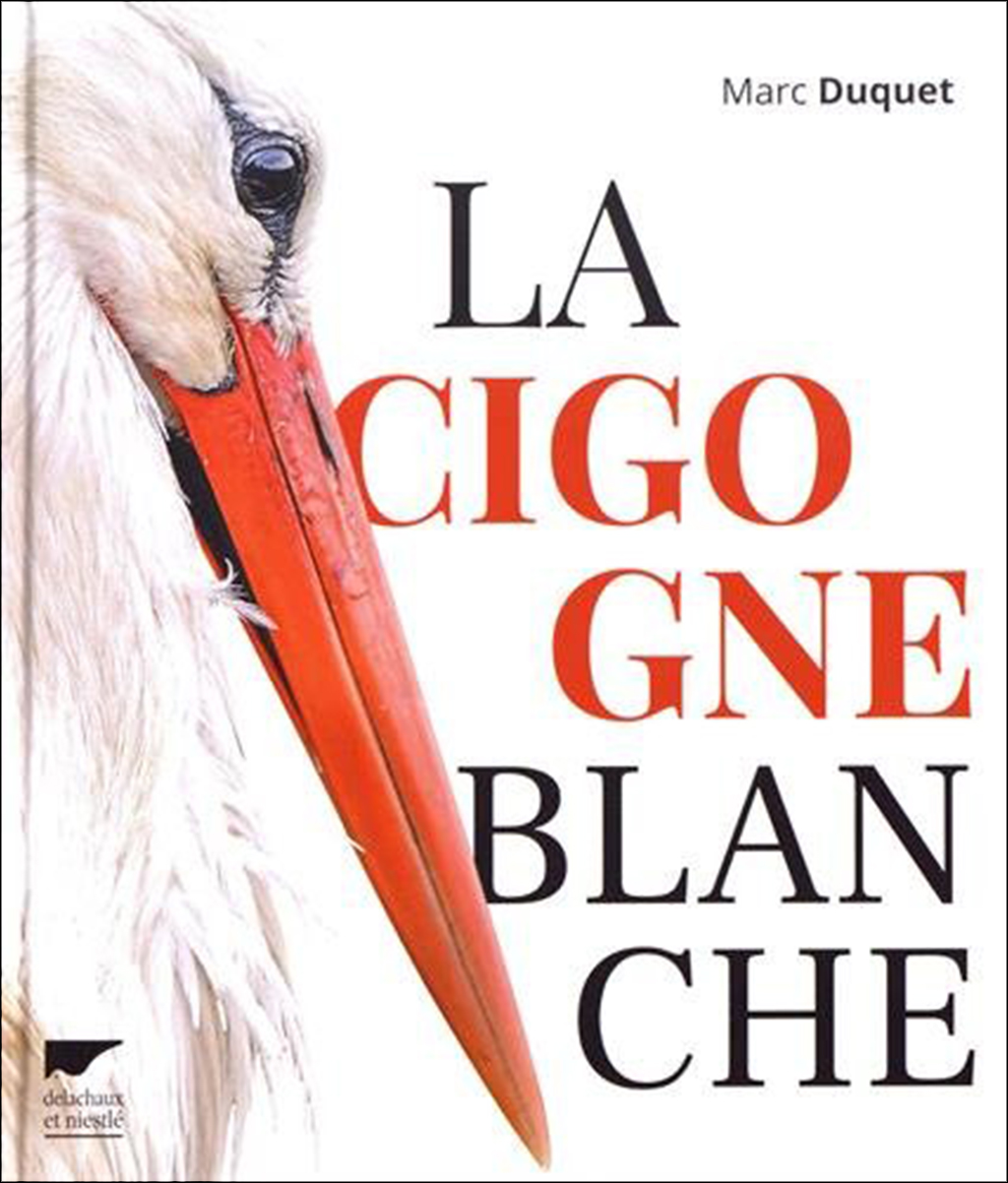 LA CIGOGNE BLANCHE 1