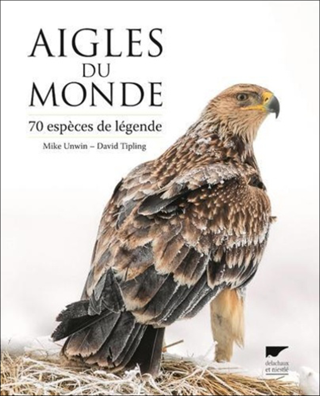 AIGLES DU MONDE