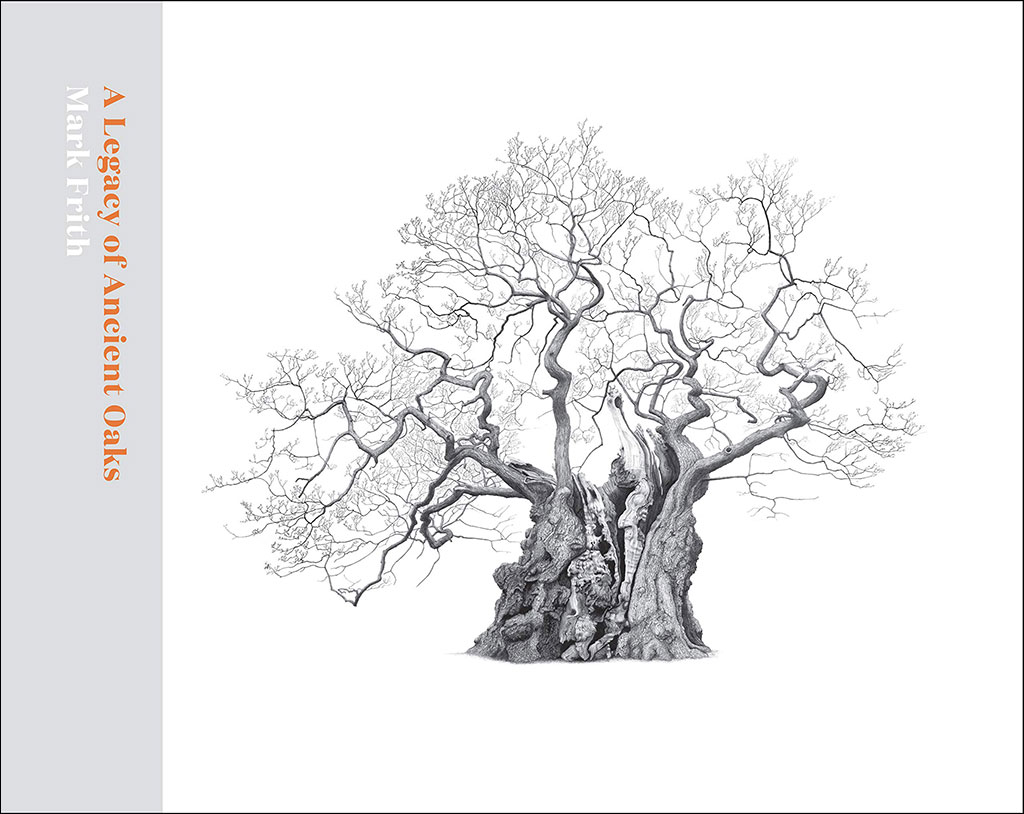 A LEGACY OF ANCIENT OAKS
