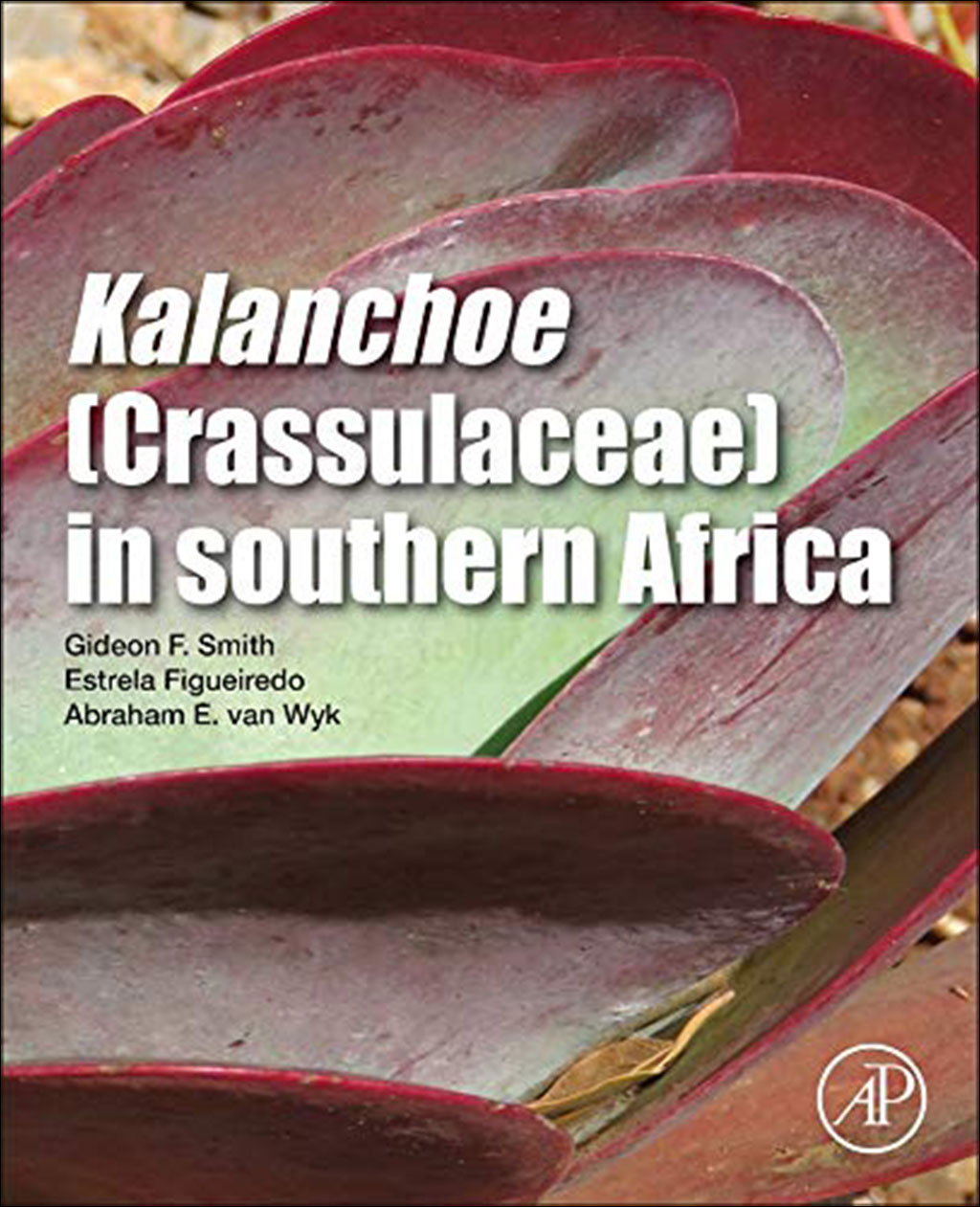 KALANCHOE (CRASSULACEACE) IN SOUTHERN AFRICA