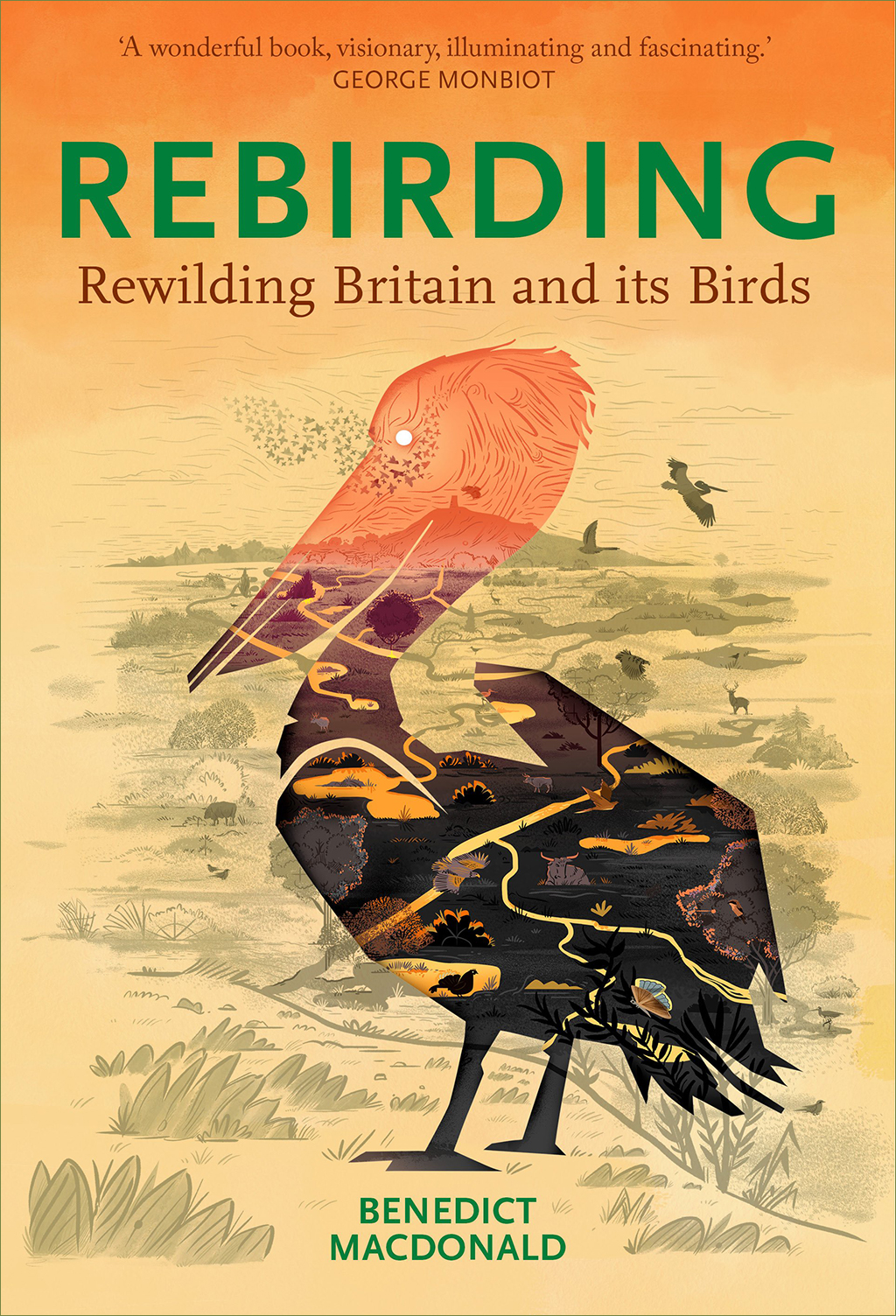 REBIRDING