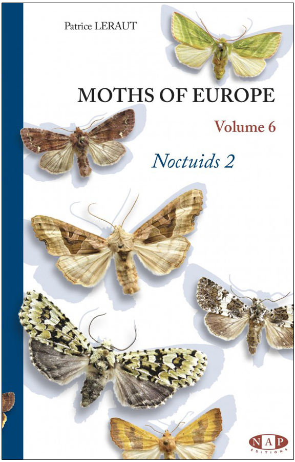 MOTHS OF EUROPE VOLUME 6. NOCTUIDS 2