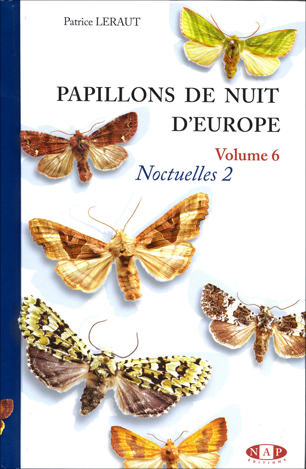 PAPILLONS DE NUIT D'EUROPE VOLUME 6, NOCTUELLES 2