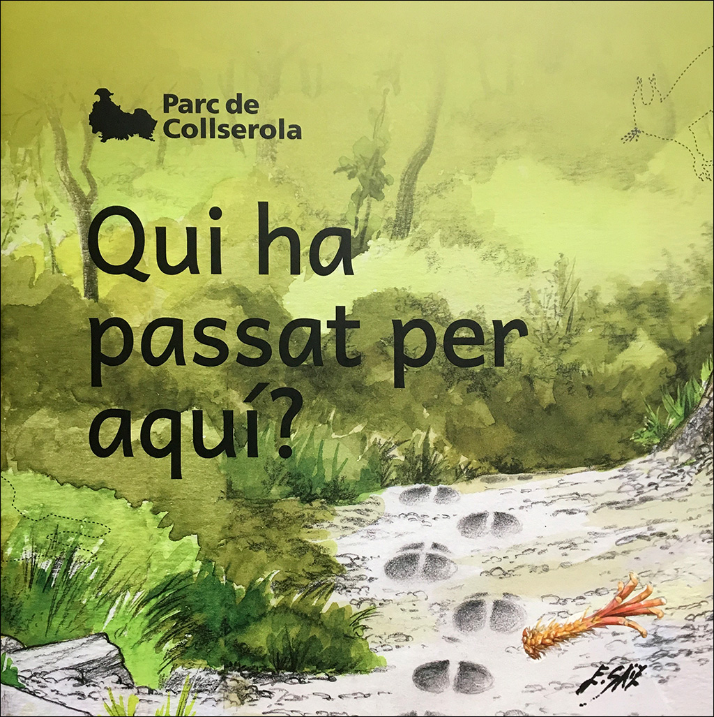 QUI HA PASSAT PER AQUÍ? PARC DE COLLSEROLA 1