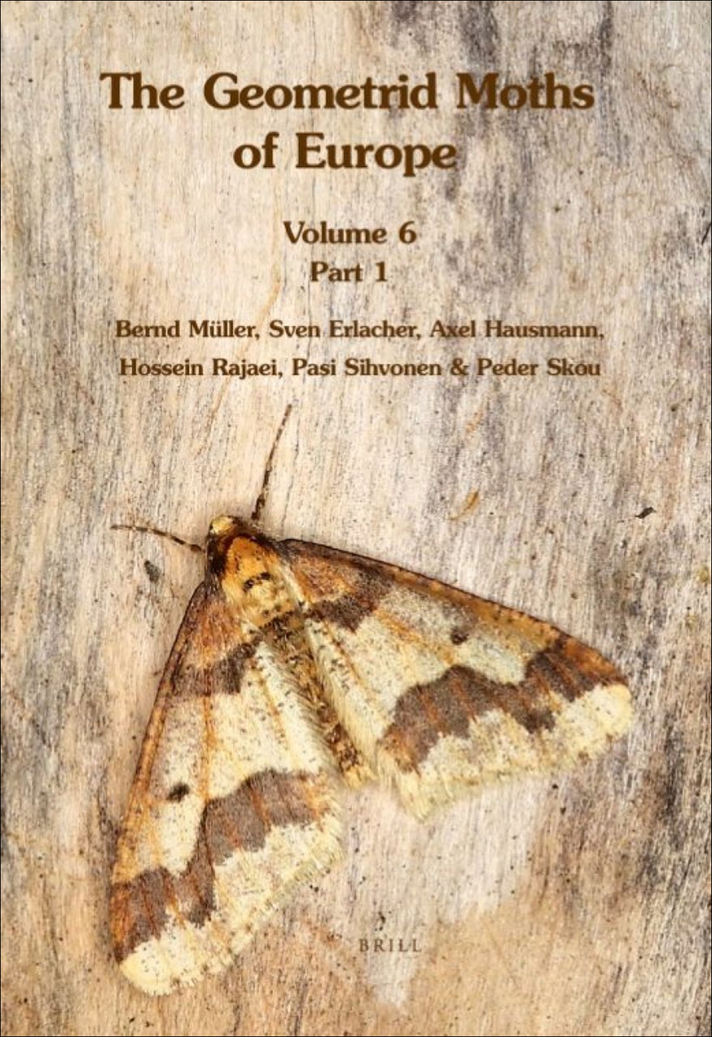 THE GEOMETRID MOTHS OF EUROPE. VOL. 6  ENNOMINAE II (2 VOLUME SET)