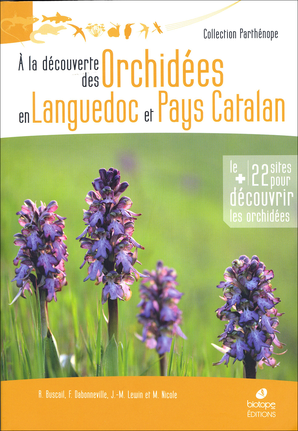 A LA DÉCOUVERTE DES ORCHIDÉES EN LANGUEDOC ET PAYS CATALAN 1