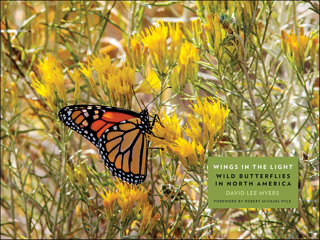 WINGS IN THE LIGHT. WILD BUTTERFLIES IN NORTH AMERICA