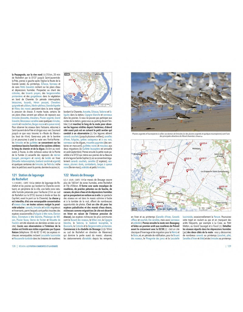 OBSERVER LES OISEAUX EN FRANCE 3
