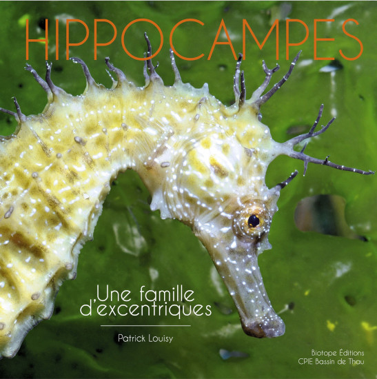 HIPPOCAMPES. UNE FAMILLE D'EXCENTRIQUES